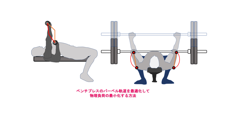 ベンチプレスのバーベル軌道を最適化して物理負荷を最小化する方法 Lifting The Apex Note ベンチプレスのバーベル軌道を最適化して物理負荷を最小化する方法 Lifting The Apex Note