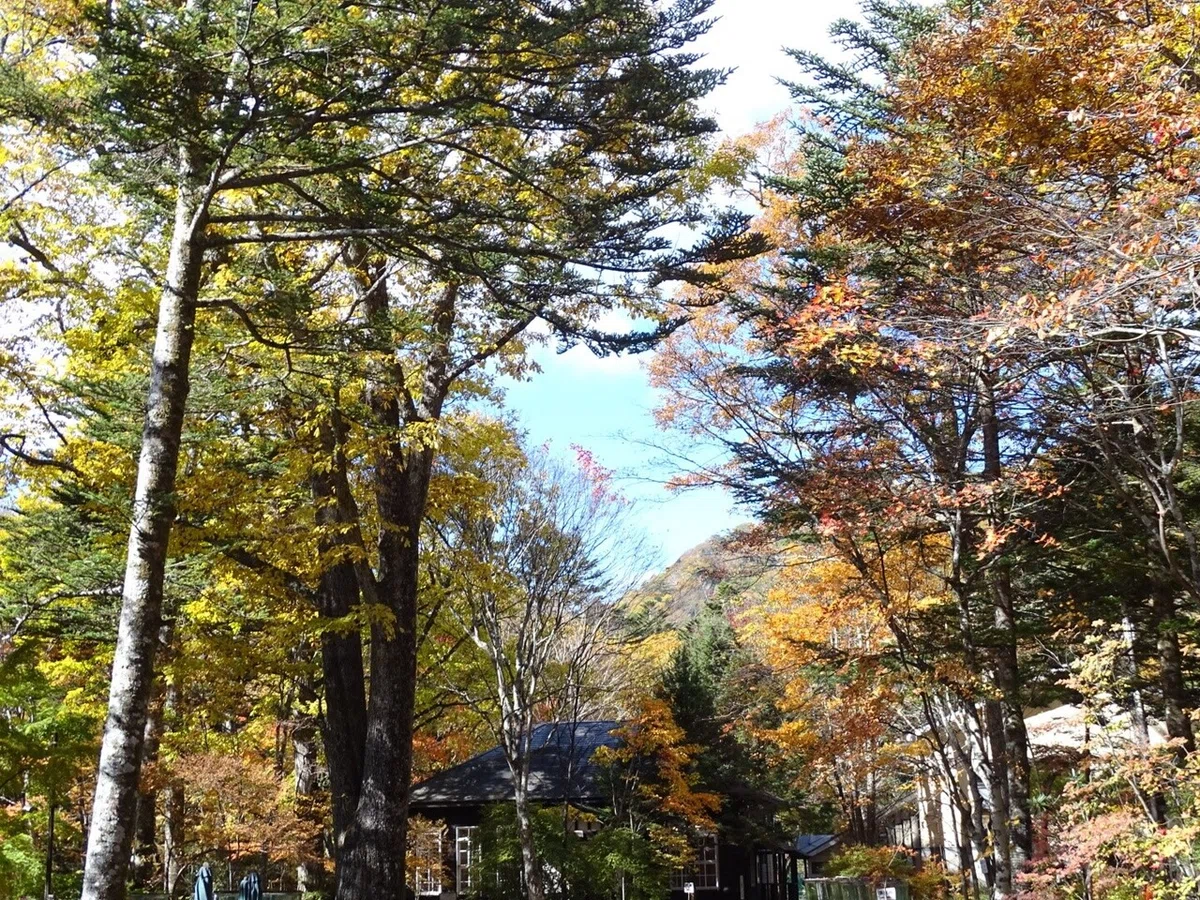 画像7
