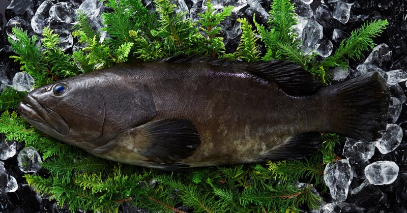 生産者のご紹介 自分が食べて美味しい魚しか作らない 本多水産 うみとさち Note 生産者のご紹介 自分が食べて美味しい魚しか作らない 本多水産 うみとさち Note