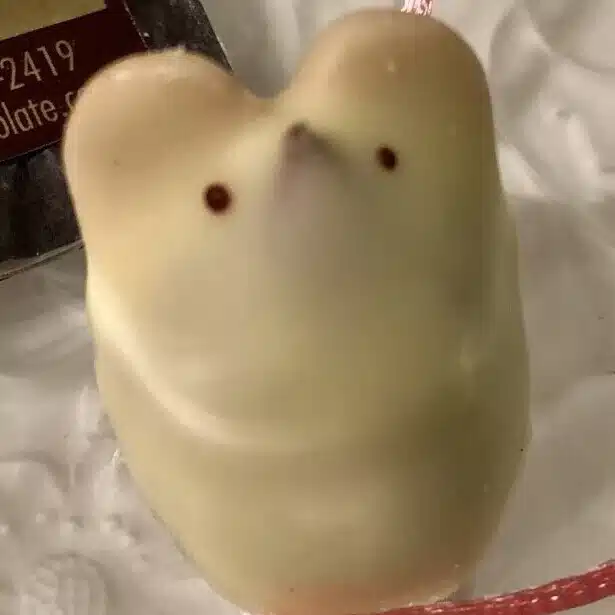 Satoi