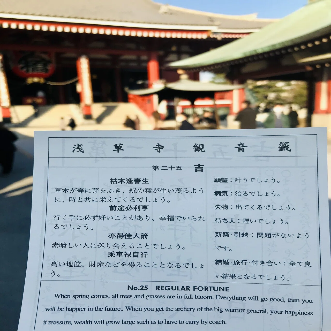 浅草寺に初詣した後に 秋葉原に寄った日記 うさうさん 宇佐兎三 Note