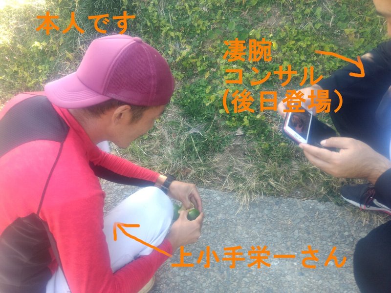 ぽんかん めちゃうま 野間 Note ぽんかん めちゃうま 野間 Note