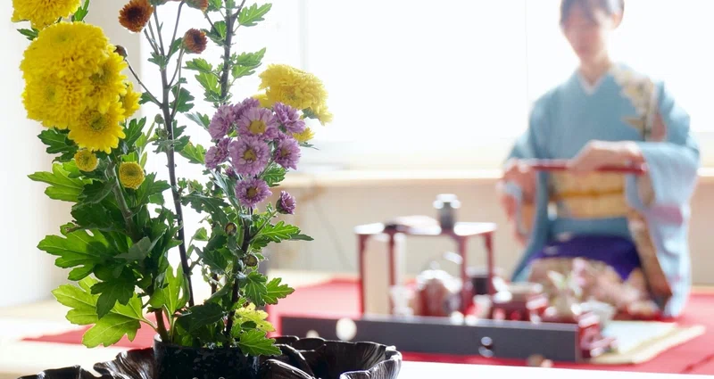 Y1077 小笠原流 煎茶の花と盛物 【公式通販】
