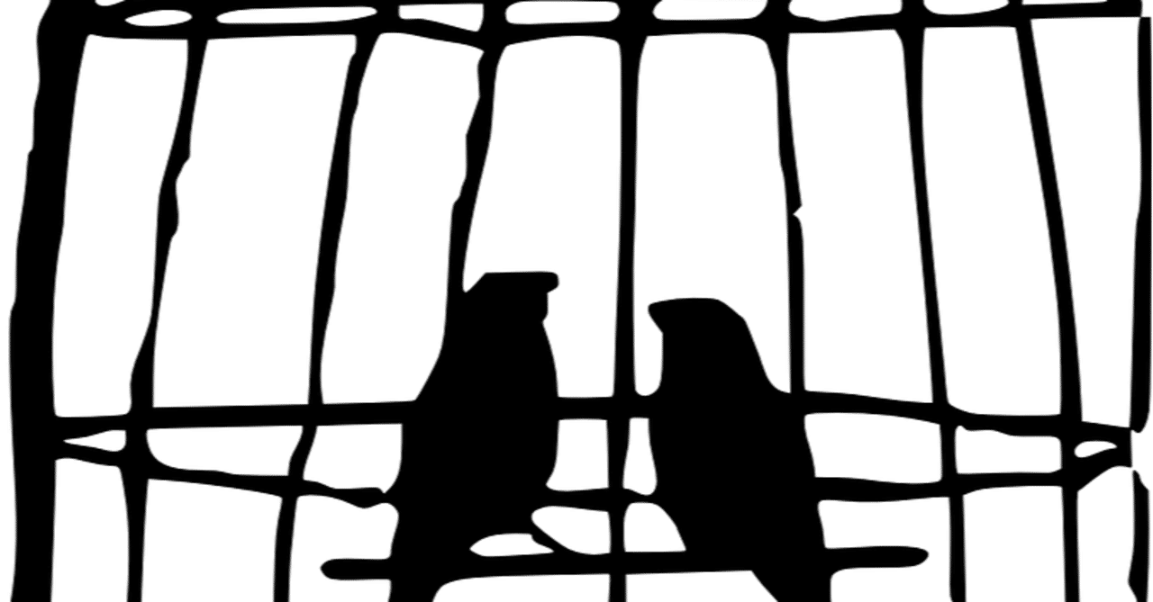 サッカー 鳥かごを分解してみた まるわかり サッカーとコーチとブログ Note サッカー 鳥かごを分解してみた まるわかり サッカーとコーチとブログ Note