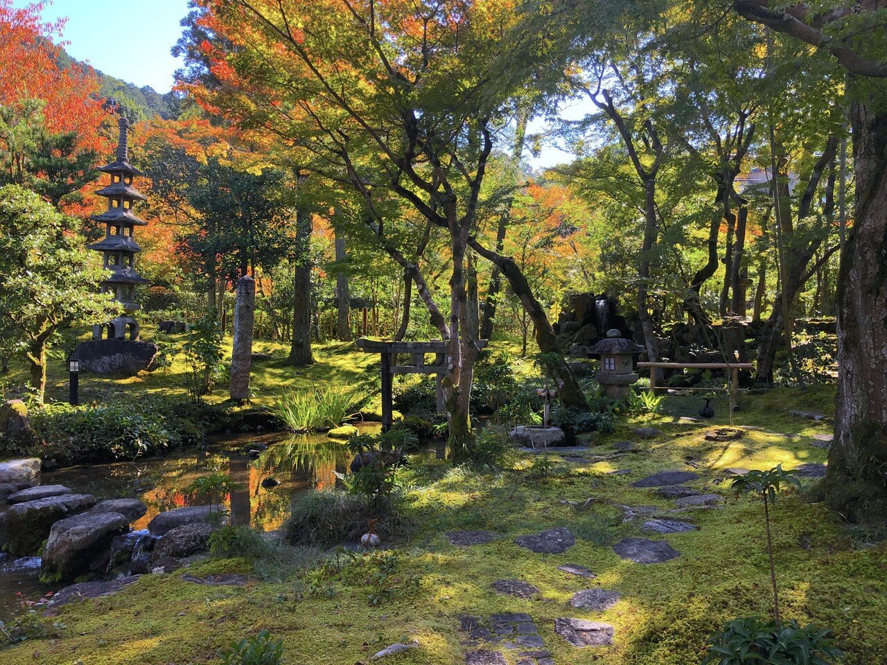 美しい苔の庭】完全版・京都編。1000箇所以上の日本庭園から厳選して30 