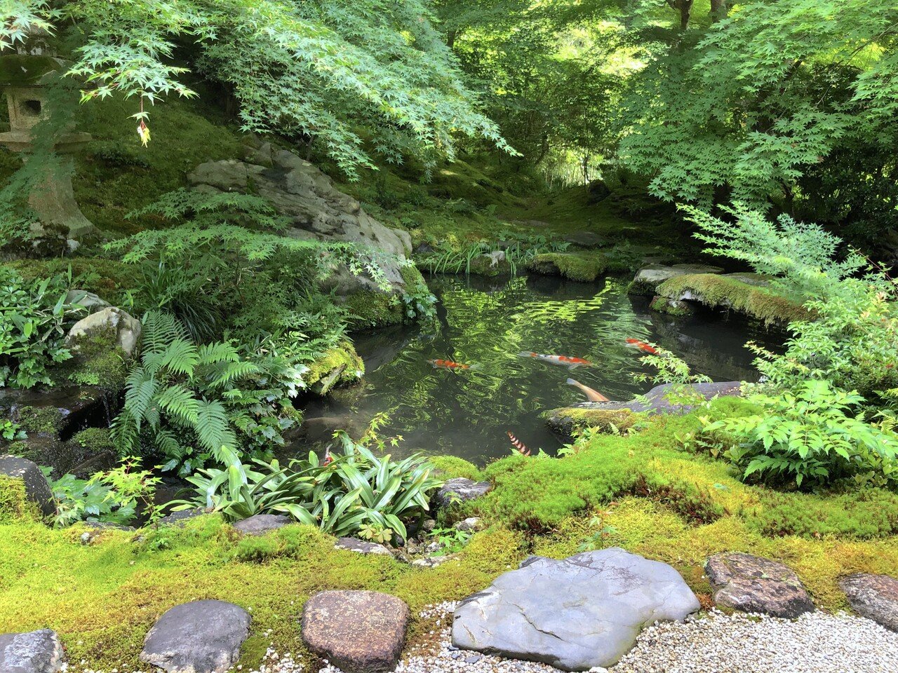 美しい苔の庭】完全版・京都編。1000箇所以上の日本庭園から厳選して30選んでみた。｜#おにわさん｜note
