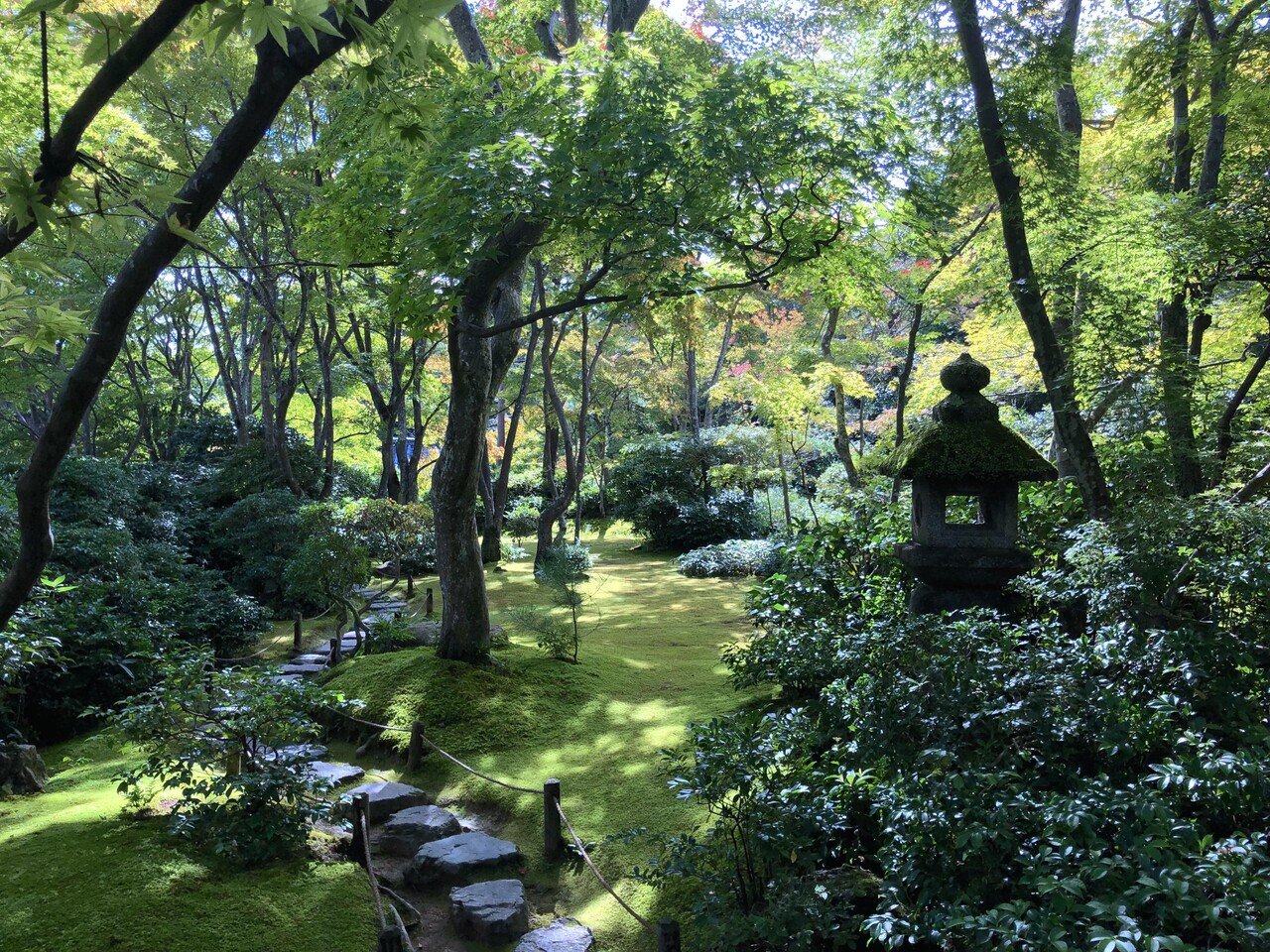 美しい苔の庭】完全版・京都編。1000箇所以上の日本庭園から厳選して30 