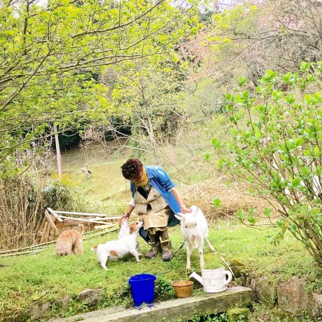 私について。 tamaki Okuda｜奥田珠紀
