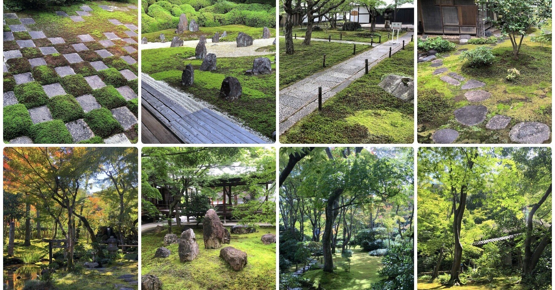 美しい苔の庭】完全版・京都編1000箇所以上の日本庭園から厳選して30 