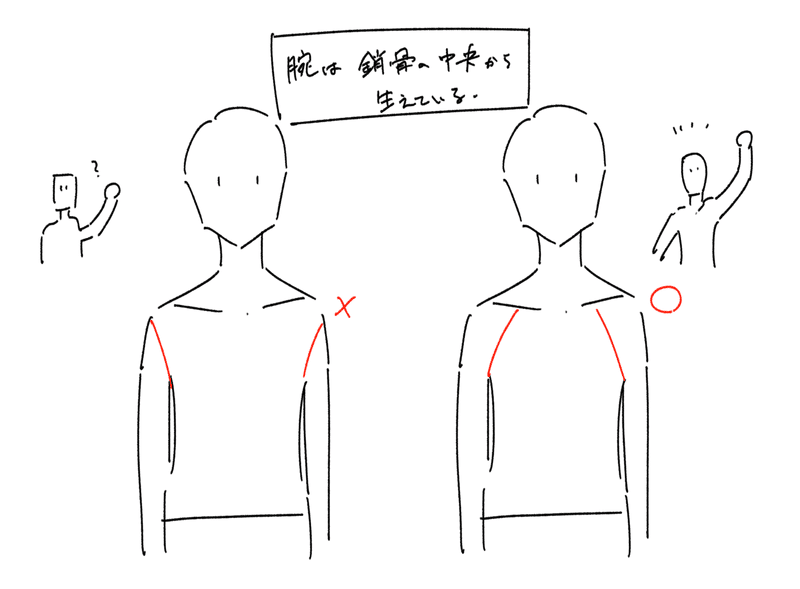 描き方 腕の生え方 Osushi Note