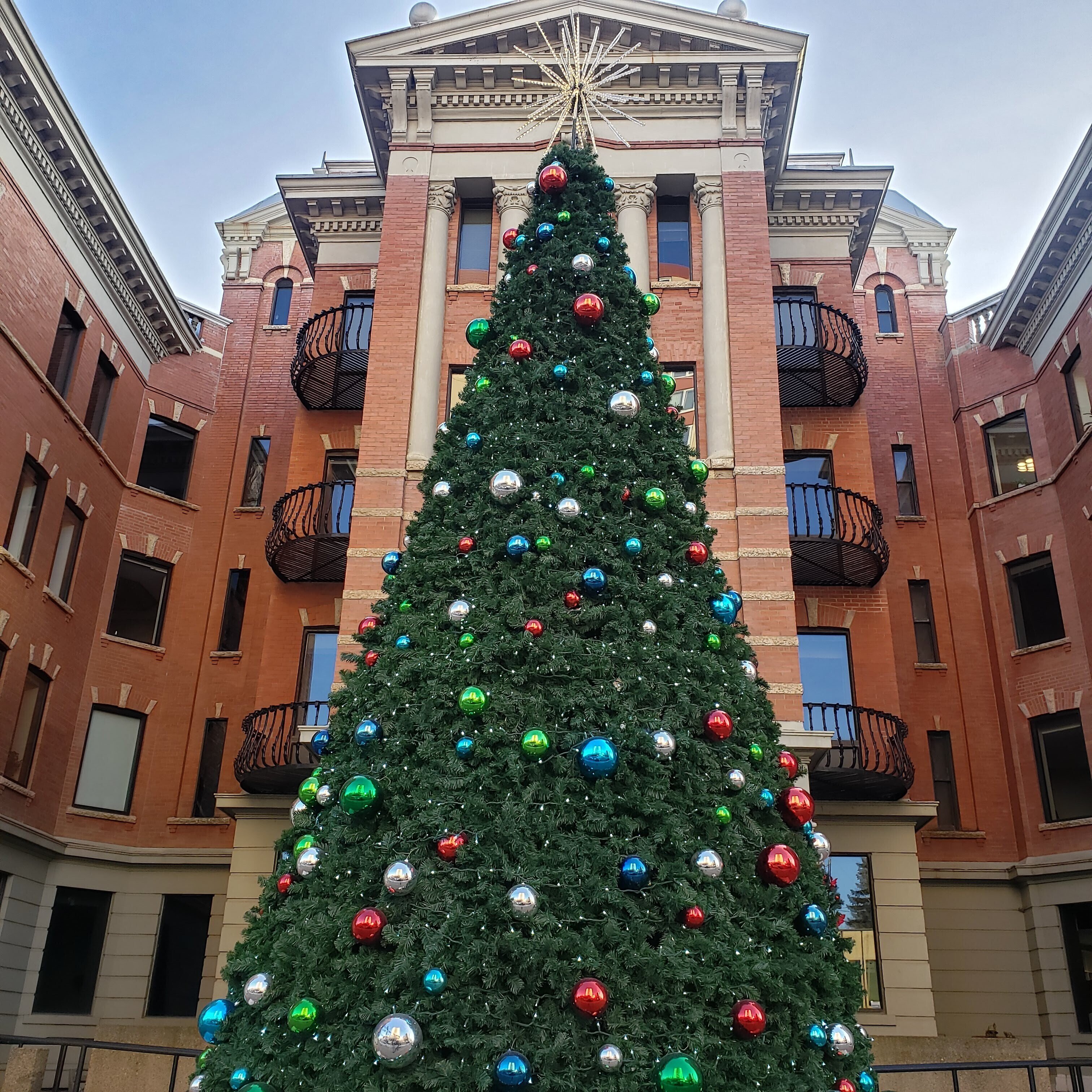 1月21日【音で聞く！】ウィークリー英語コラム（4/5) When do you take down Christmas tree?｜Leco