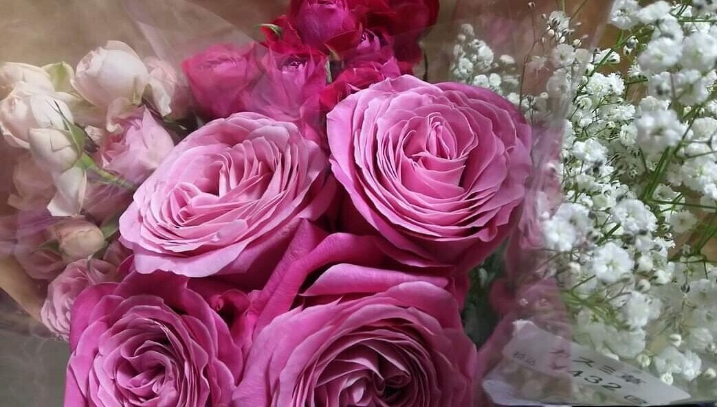 綺麗なお花 ちと Note 綺麗なお花 ちと Note