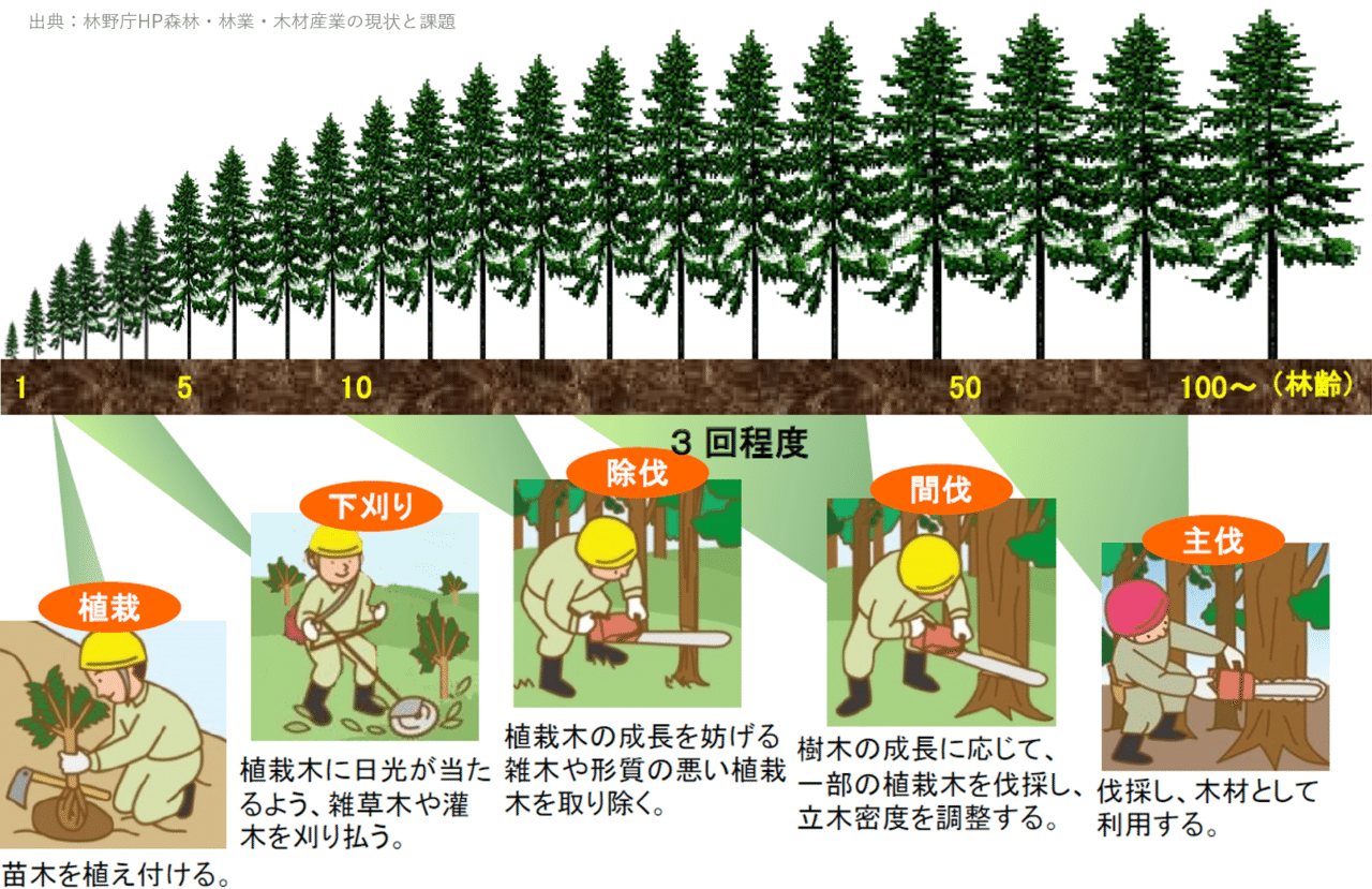 ドイツ林業と日本の森林 | 修司, 岸 |本 | 通販 | Amazon