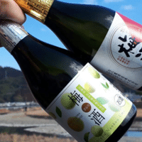 サボテンを食べながら幸蔵酒造 さぼてん焼酎 を呑んだ ぼっちのみ Note