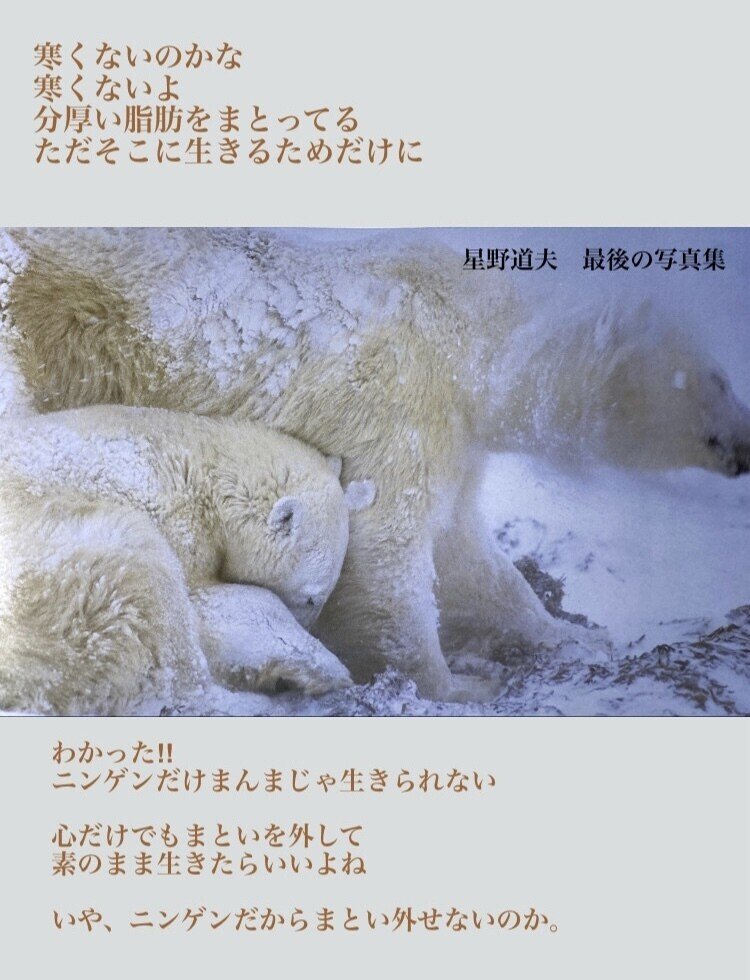 星野道夫さんの写真集を手にした 私はなぜ生きていくの 答えはそこにあるのか 墨字書家 五輪 言葉の真剣な遊びびと Note