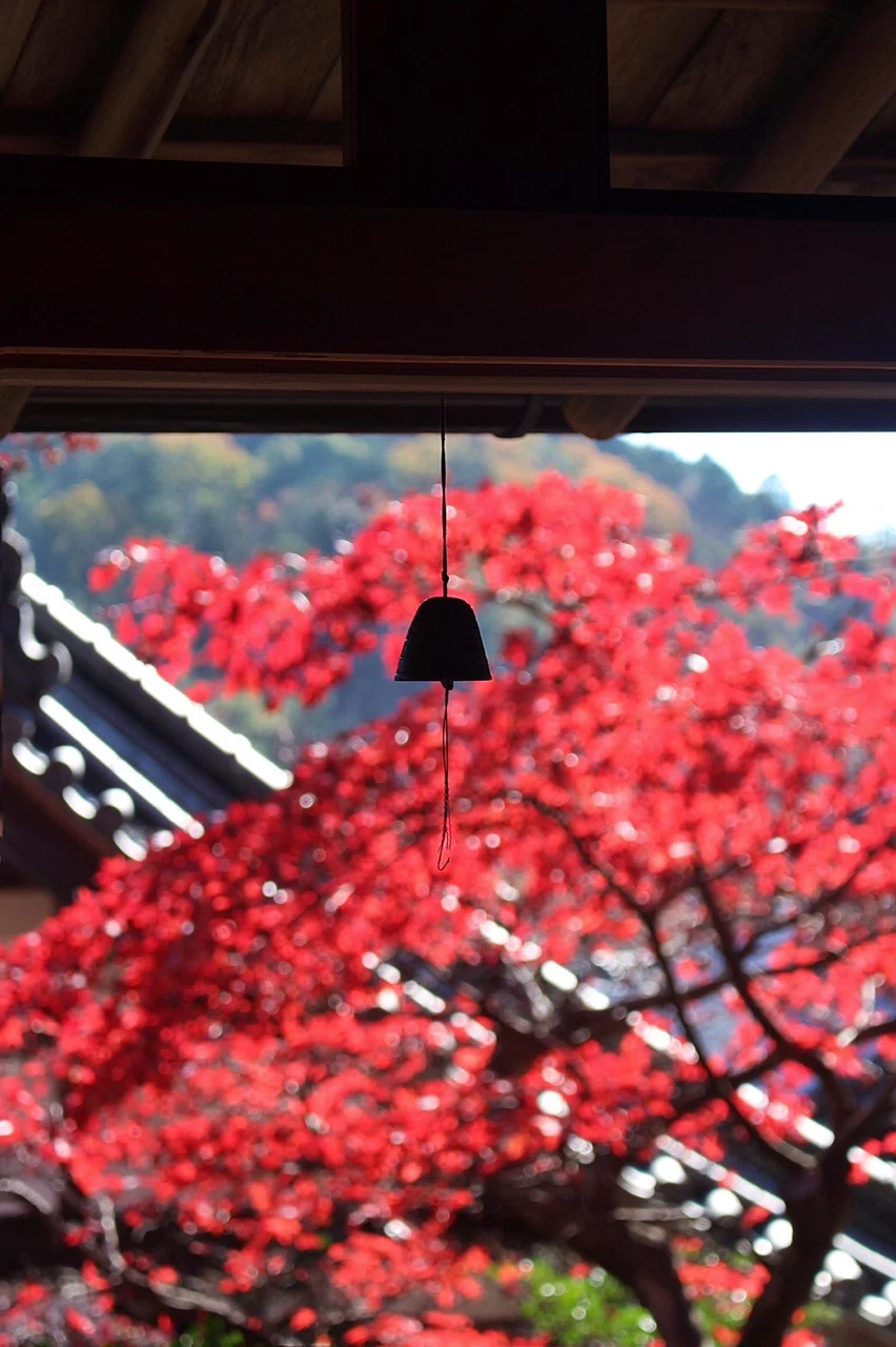 画像8