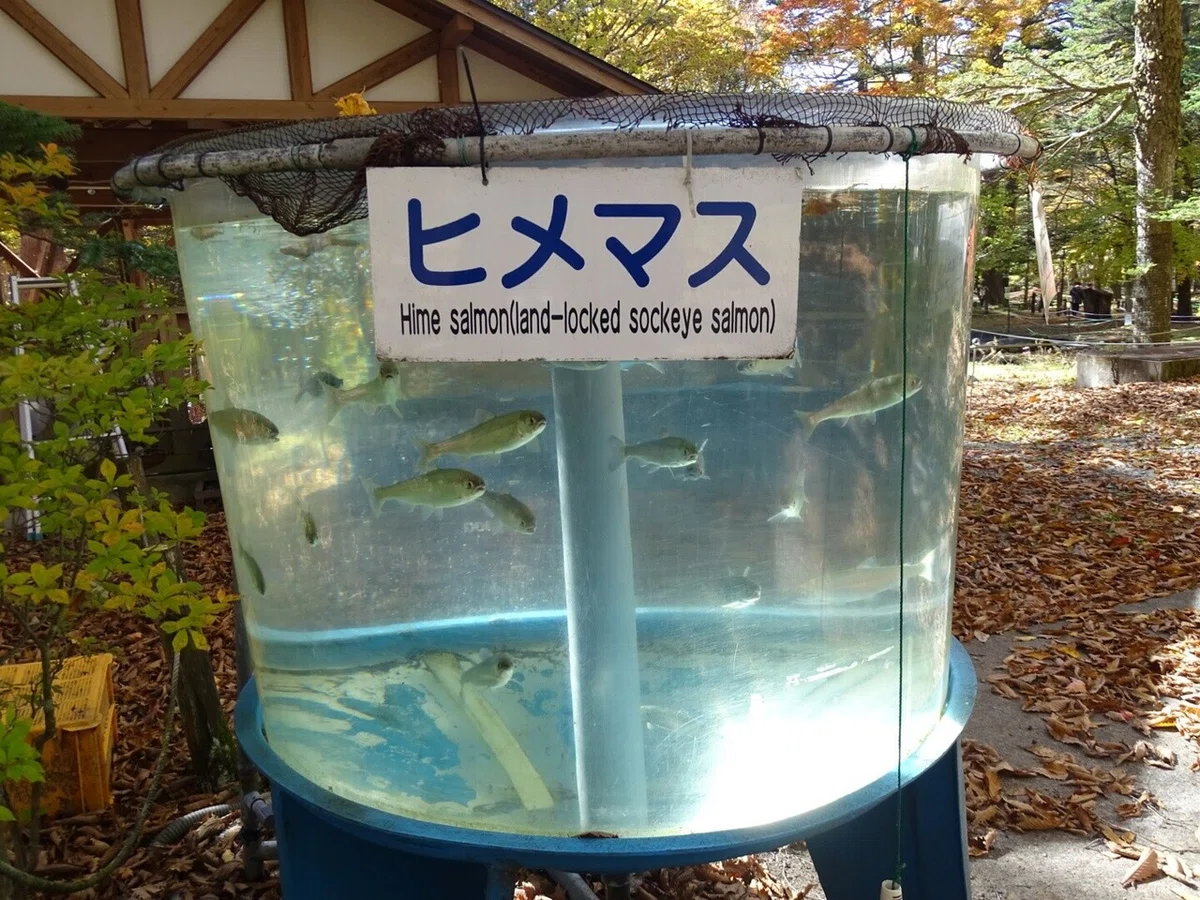 画像13