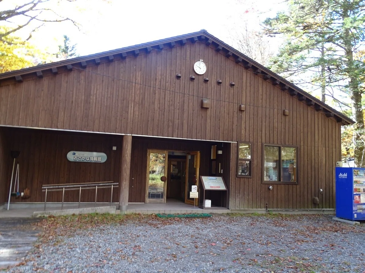 画像12