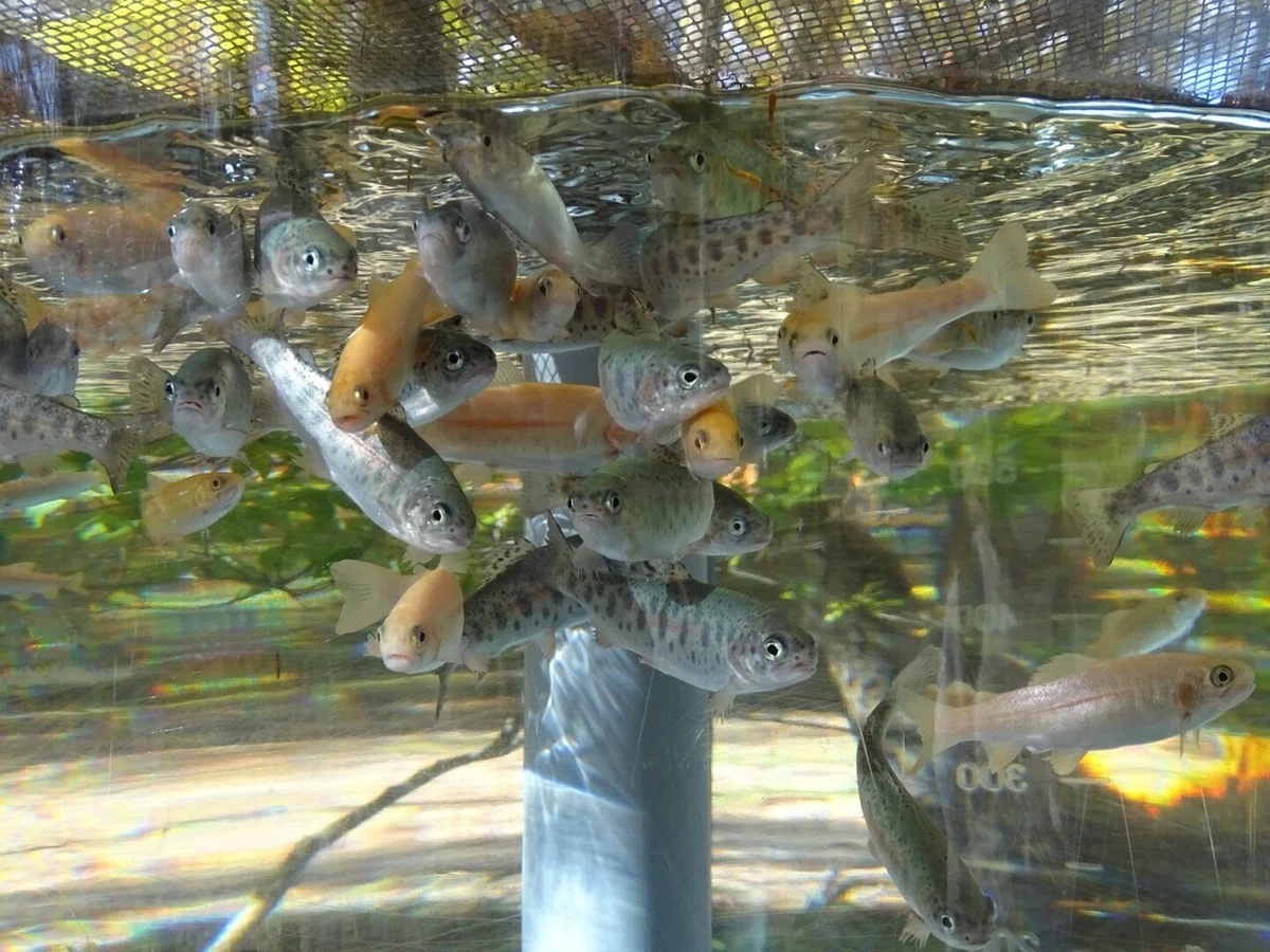 画像8
