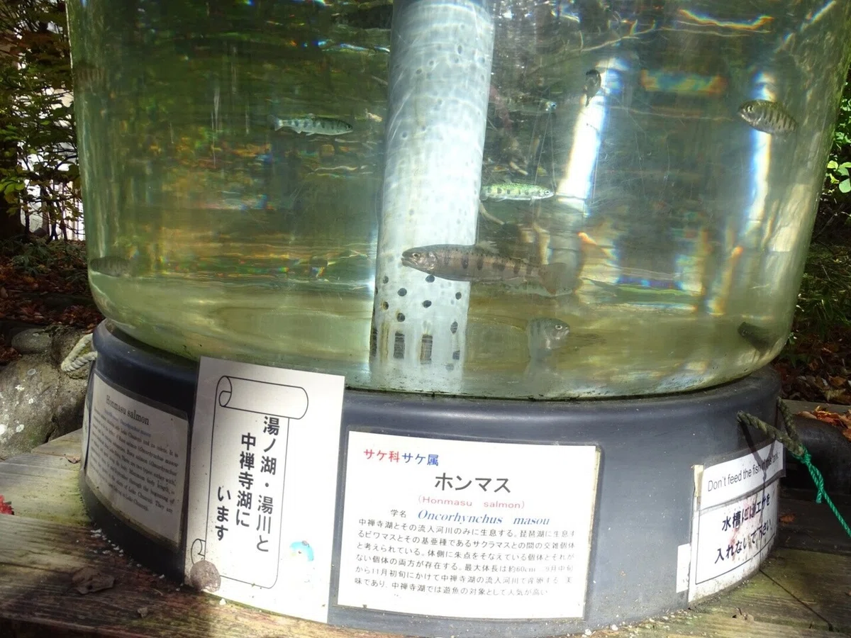 画像14