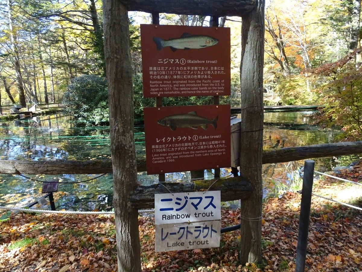 画像20