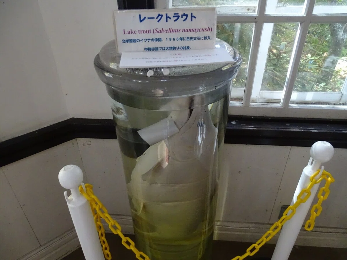画像17