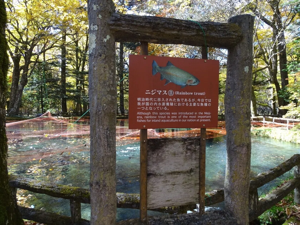 画像25