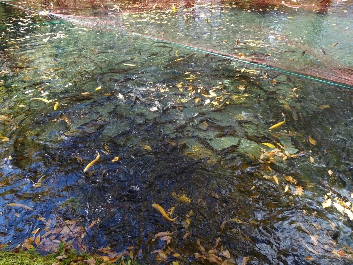 画像21