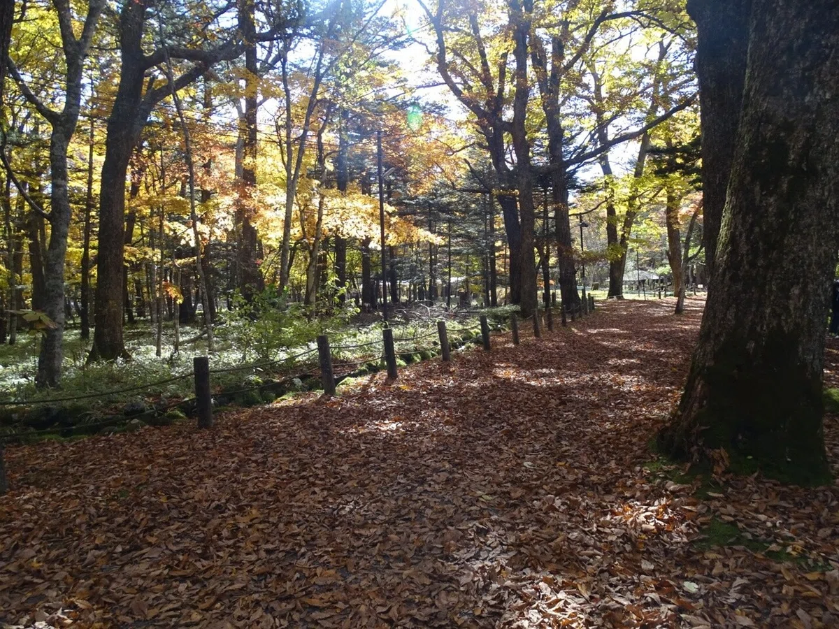 画像23
