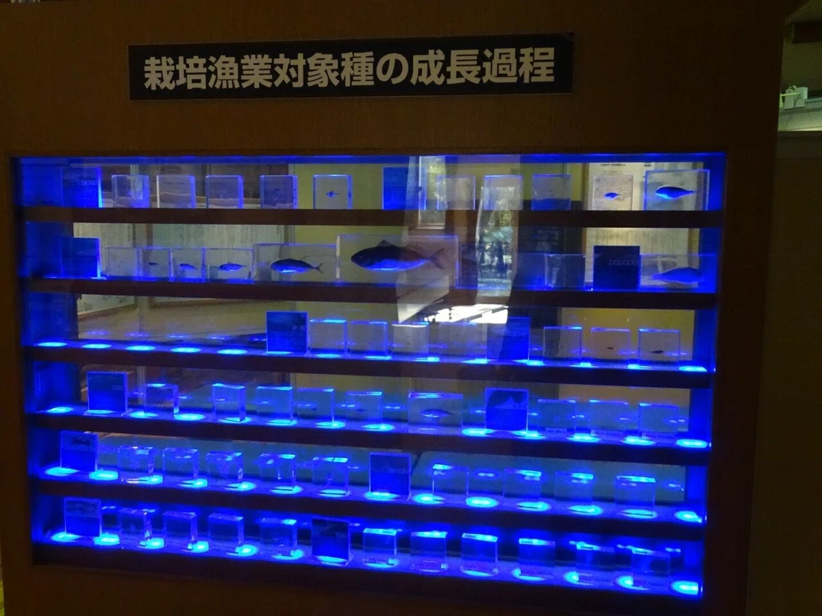 画像31