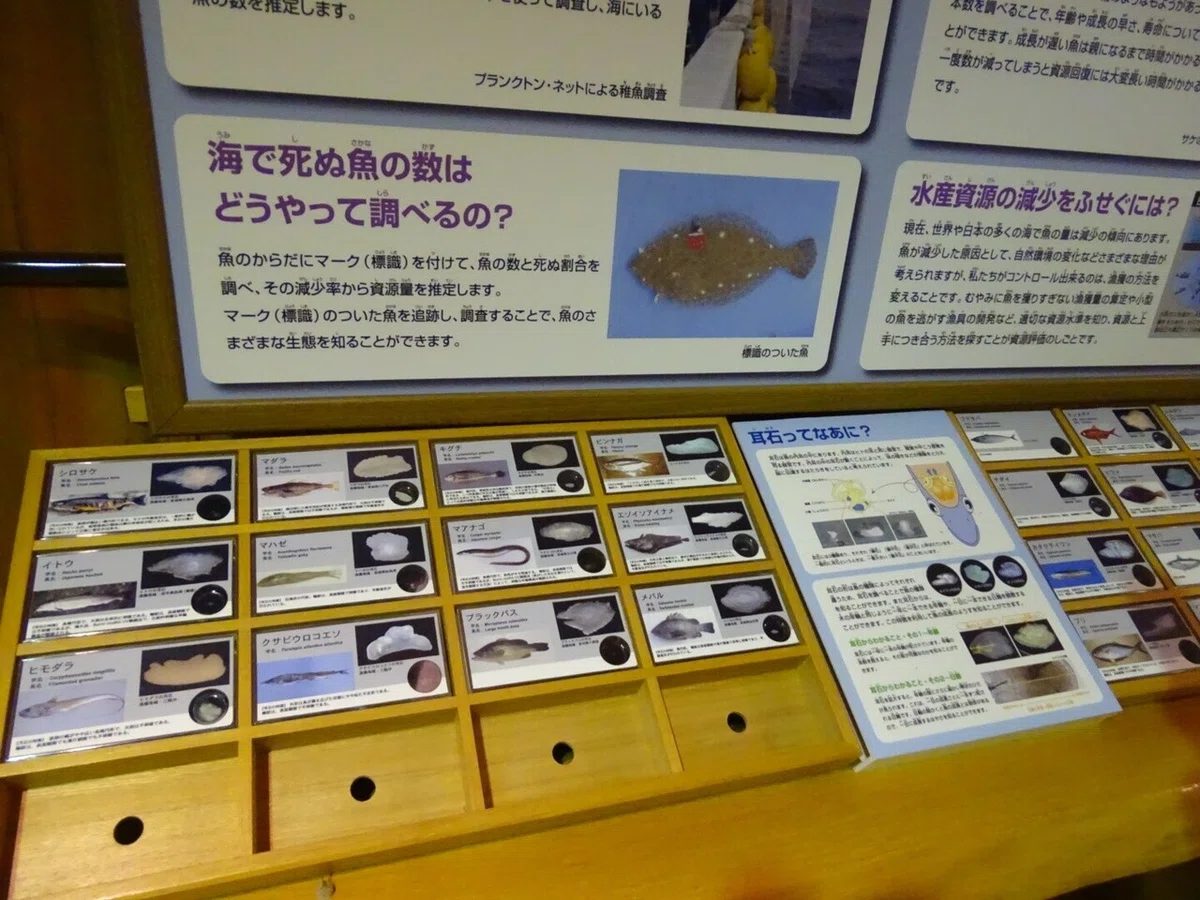 画像34