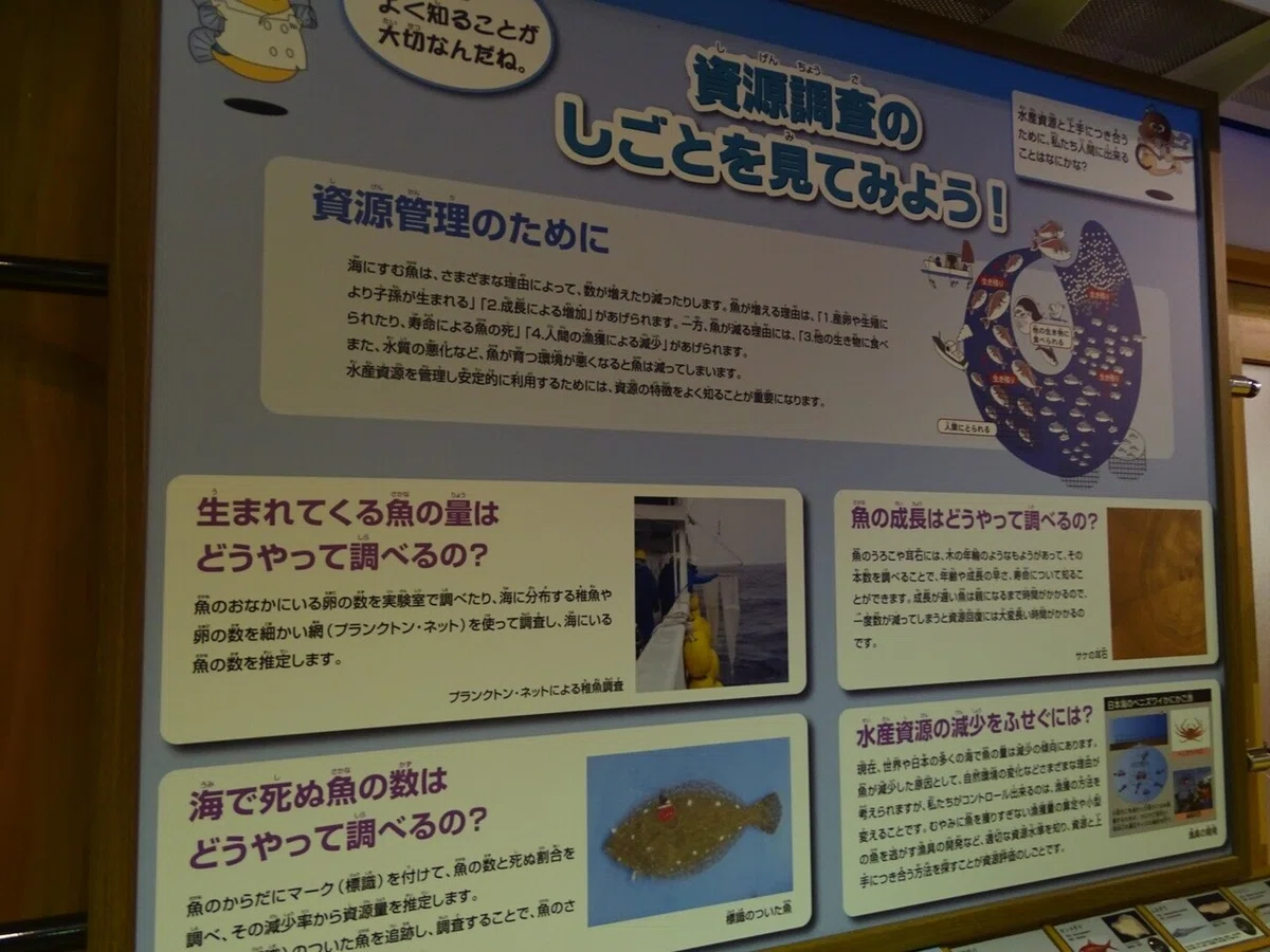 画像32