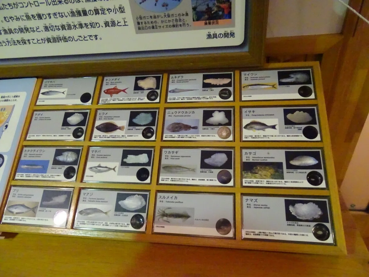 画像33