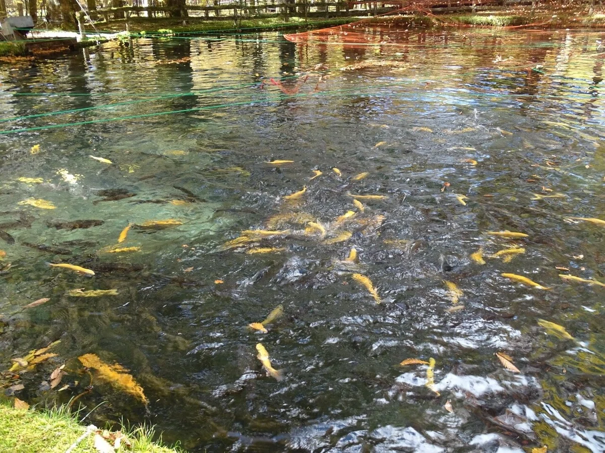 画像36
