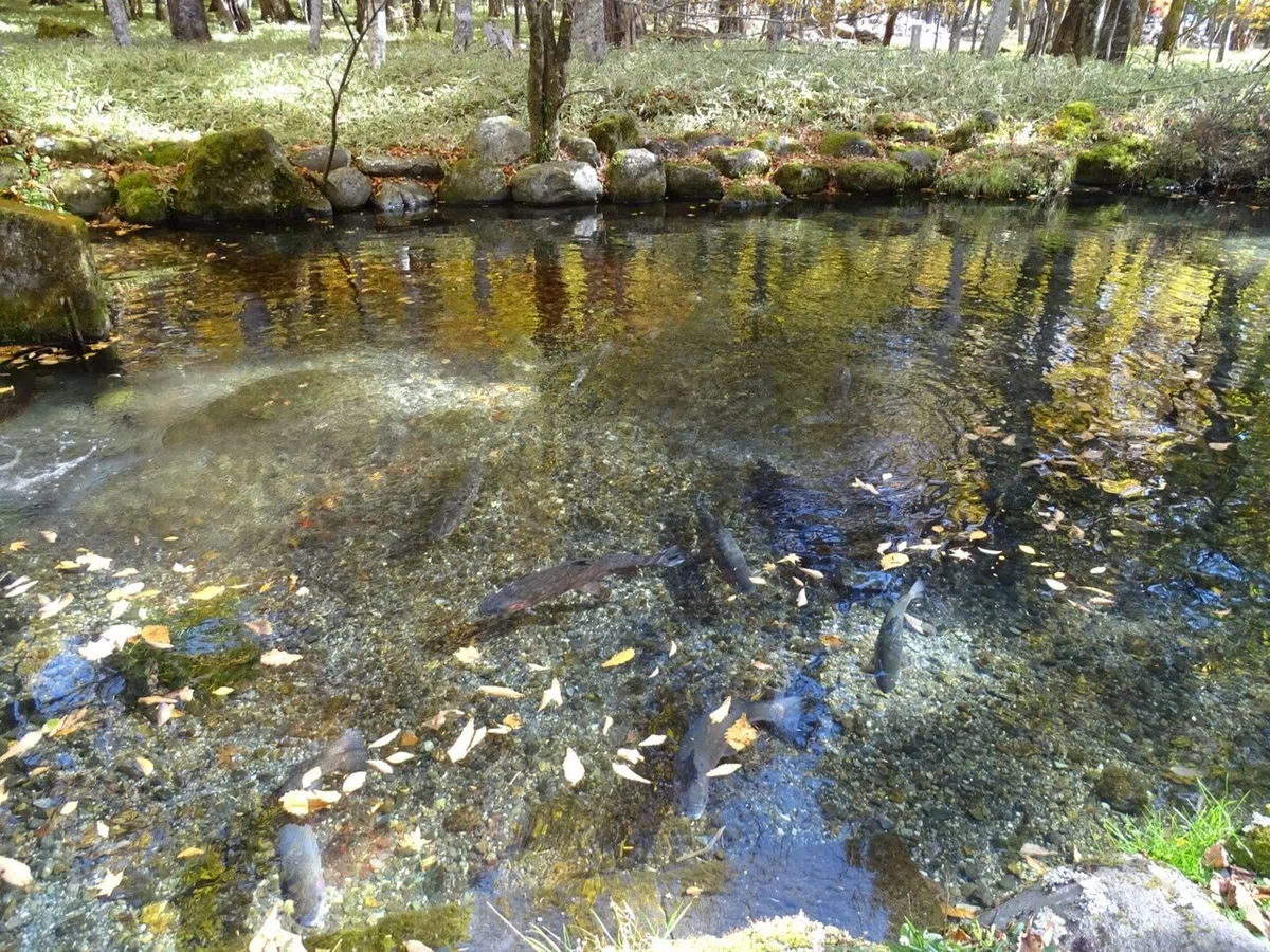 画像35