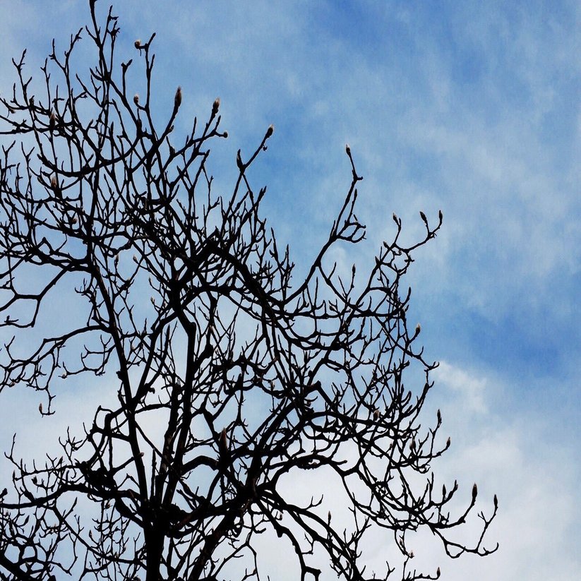 1 4 ロケの手ごたえゼロだった 水曜どうでしょう の新作は なぜ おもしろかったのか 光文社新書