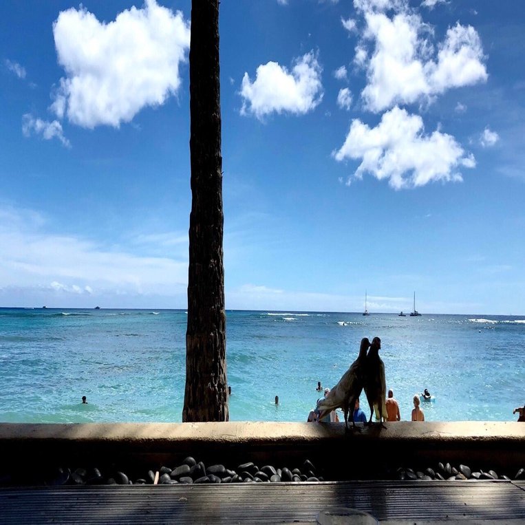 1 4 ロケの手ごたえゼロだった 水曜どうでしょう の新作は なぜ おもしろかったのか 光文社新書