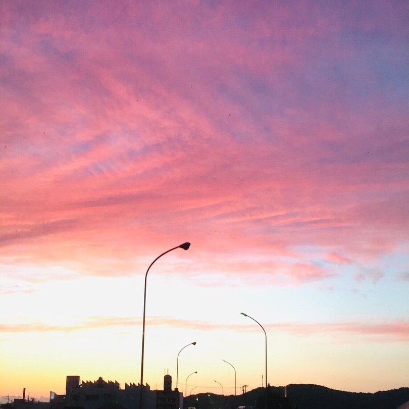 1 4 ロケの手ごたえゼロだった 水曜どうでしょう の新作は なぜ おもしろかったのか 光文社新書