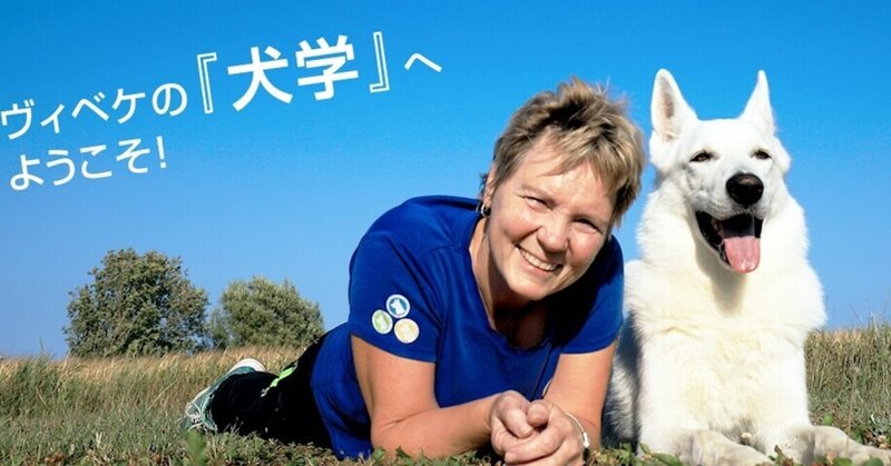 パックウォーク の新着タグ記事一覧 Note つくる つながる とどける