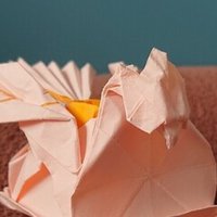 龍神折ってみた Zappie Encel Note
