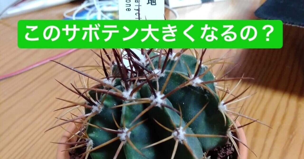このサボテン大きくなるの 古山大 Note