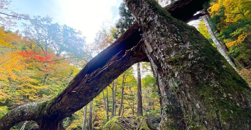 悩みの解消における 無意識の意識化 と 意識の無意識化 という視点 垂水 隆幸 Note
