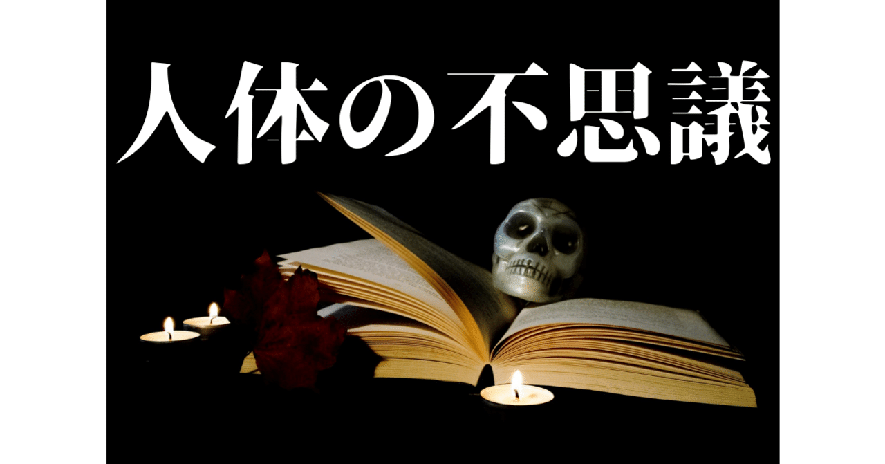 アンドレアス ヴェサリウス の新着タグ記事一覧 Note つくる つながる とどける アンドレアス ヴェサリウス の新着タグ記事一覧 Note つくる つながる とどける