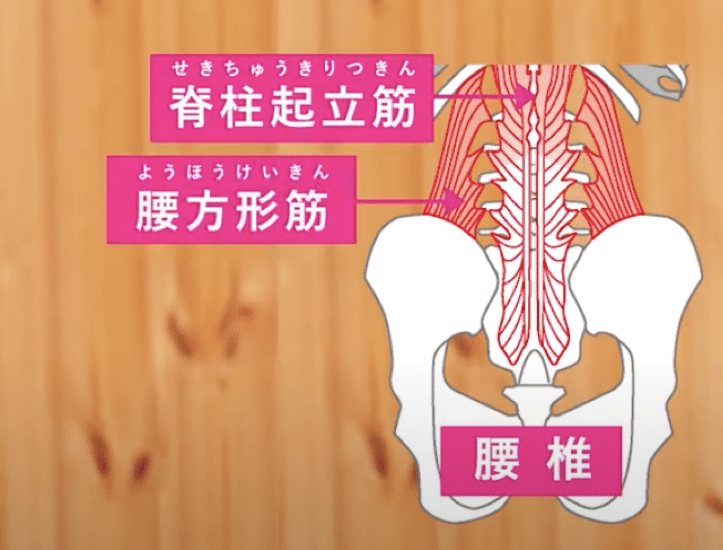 腰痛ケア のコンディショニング 池 辰彦 Note