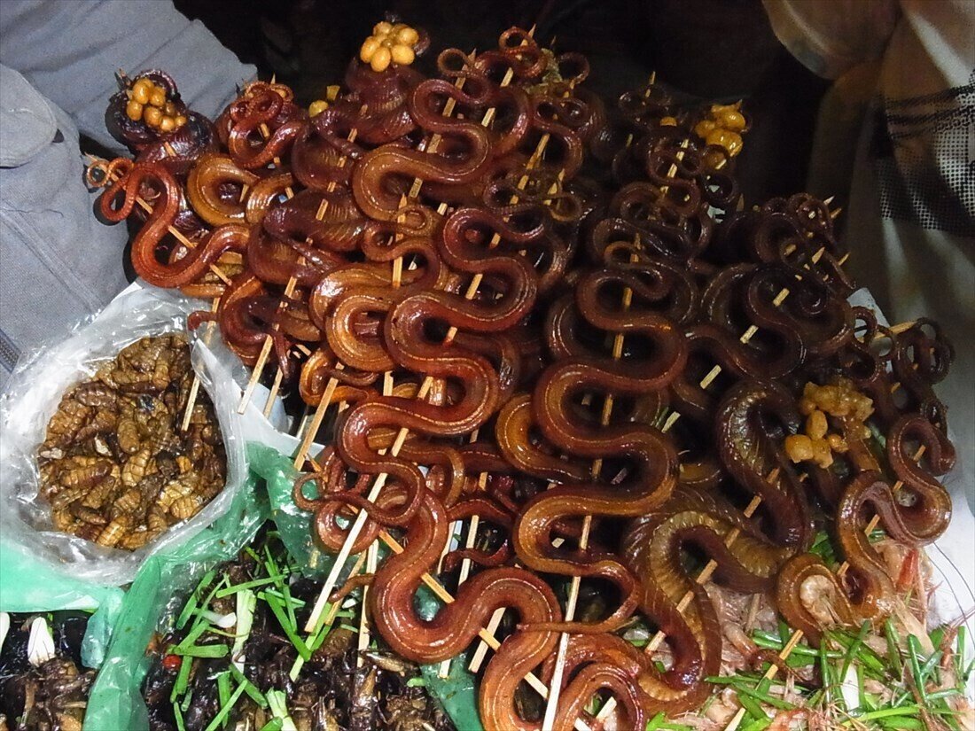 慣れるとおいしい孵化直前の卵 カンボジア 在住歴年が話したい本当のタイと見てきたこととうまい話と Note 慣れるとおいしい孵化直前の卵 カンボジア 在住歴年が話したい本当のタイと見てきたこととうまい話と Note