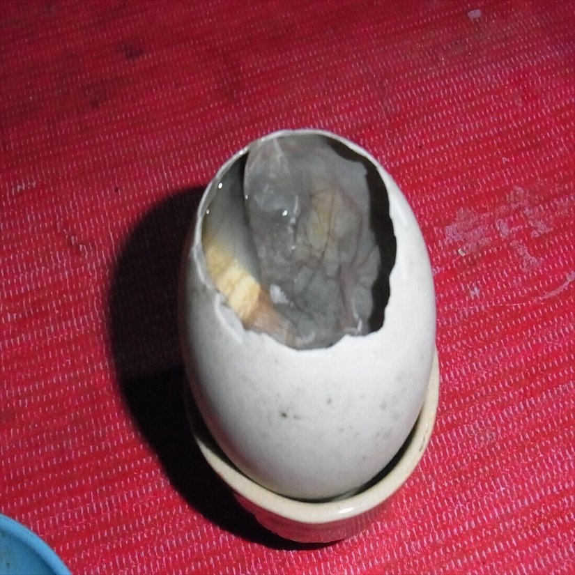 慣れるとおいしい孵化直前の卵 カンボジア 在住歴年が話したい本当のタイと見てきたこととうまい話と Note