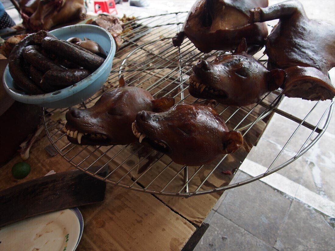 閲覧注意 ベトナム人のごちそうのひとつ 犬 在住歴年が話したい本当のタイと見てきたこととうまい話と Note 閲覧注意 ベトナム人のごちそうのひとつ 犬 在住歴年が話したい本当のタイと見てきたこととうまい話と Note