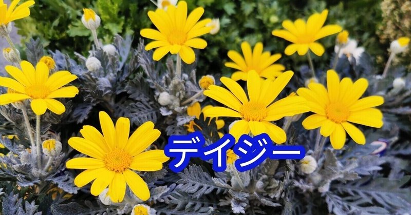 Youtubeでも花教えて下さい 32花の組み合わせ 石川 味季 Note Youtubeでも花教えて下さい 32花の組み合わせ 石川 味季 Note