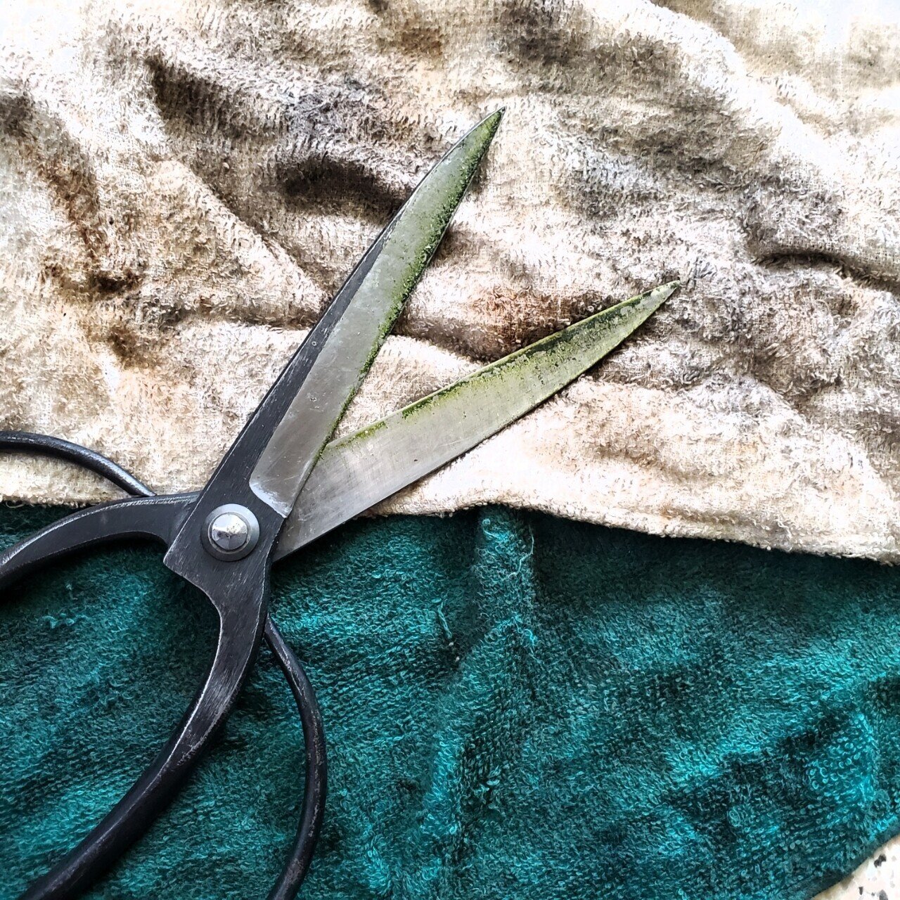 鋏の管理 Yuuuuuuutro7 Note