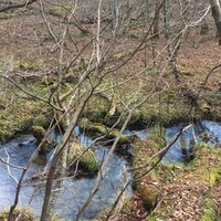 西成 西成高校 実際やばいじゃん という人に知っておいてほしい３つのこと 武田 緑 教育ファシリテーター Note